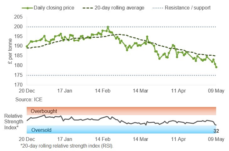 UK feed wheat Nov 12 05 2025.jpg